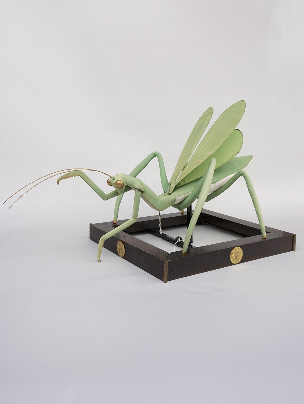 先代カマキリ